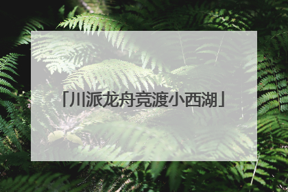 川派龙舟竞渡小西湖