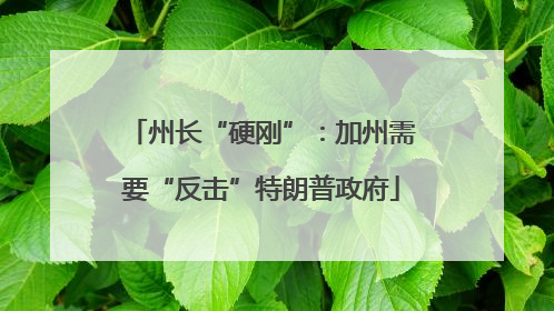 州长“硬刚”：加州需要“反击”特朗普政府