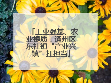 工业强基、农业提质，通州区东社镇“产业兴镇”扛担当