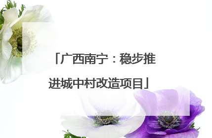 广西南宁：稳步推进城中村改造项目