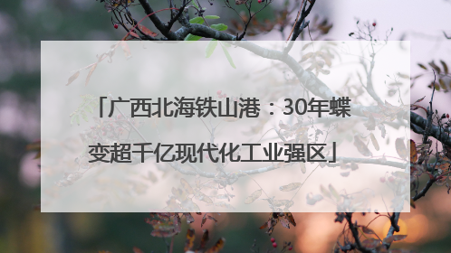 广西北海铁山港：30年蝶变超千亿现代化工业强区