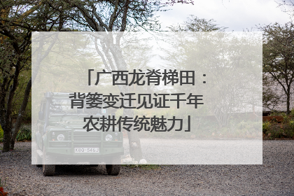 广西龙脊梯田：背篓变迁见证千年农耕传统魅力
