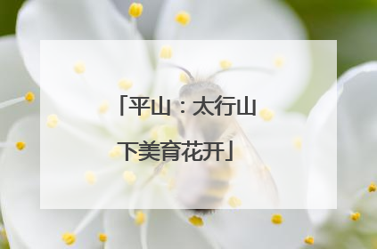 平山：太行山下美育花开