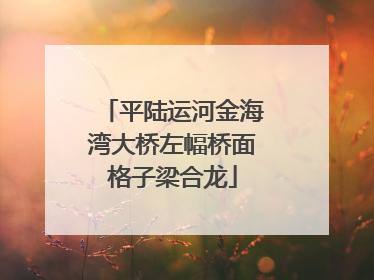 平陆运河金海湾大桥左幅桥面格子梁合龙