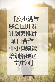 度小满与联合国开发计划署推进项目合作 中小微赋能培训落地辽宁庄河