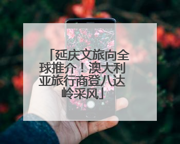 延庆文旅向全球推介！澳大利亚旅行商登八达岭采风