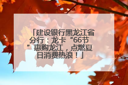建设银行黑龙江省分行：龙卡“66节”惠购龙江，点燃夏日消费热浪！