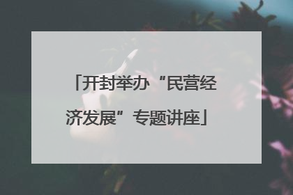 开封举办“民营经济发展”专题讲座