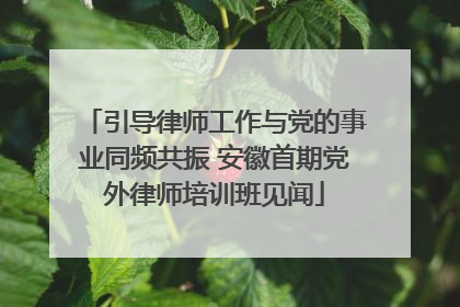 引导律师工作与党的事业同频共振 安徽首期党外律师培训班见闻
