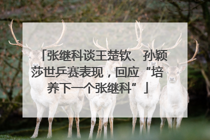张继科谈王楚钦、孙颖莎世乒赛表现，回应“培养下一个张继科”