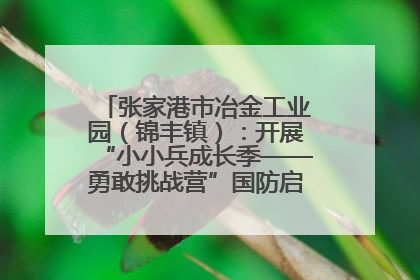 张家港市冶金工业园（锦丰镇）：开展“小小兵成长季——勇敢挑战营”国防启蒙教育活动