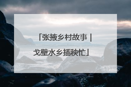 张掖乡村故事｜戈壁水乡插秧忙