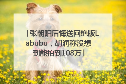 张朝阳后悔送回绝版Labubu，胡润称没想到能拍到108万