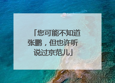 您可能不知道张鹏，但也许听说过京范儿