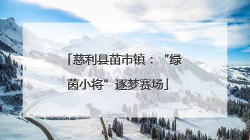 慈利县苗市镇：“绿茵小将”逐梦赛场