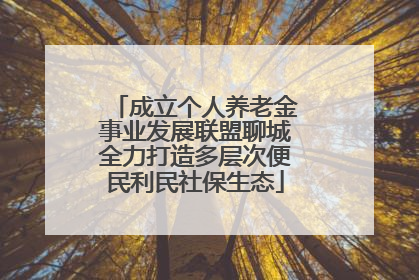 成立个人养老金事业发展联盟聊城全力打造多层次便民利民社保生态