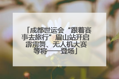 成都世运会“跟着赛事去旅行”眉山站开启 霹雳舞、无人机大赛等将一一登场