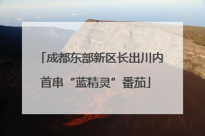 成都东部新区长出川内首串“蓝精灵”番茄