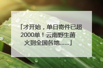 才开始，单日寄件已超2000单！云南野生菌火到全国各地……