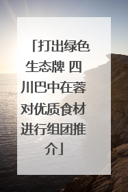 打出绿色生态牌 四川巴中在蓉对优质食材进行组团推介