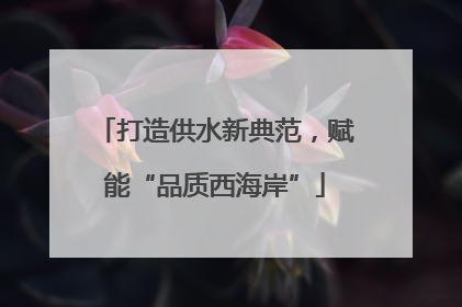 打造供水新典范，赋能“品质西海岸”