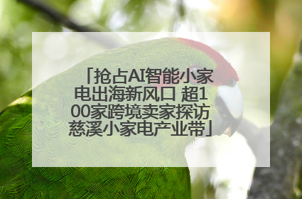 抢占AI智能小家电出海新风口 超100家跨境卖家探访慈溪小家电产业带
