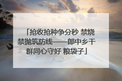 抢收抢种争分秒 禁烧禁抛筑防线——郎中乡干群同心守好 粮袋子