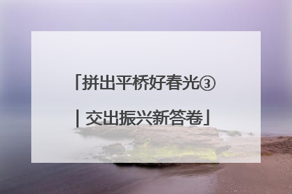 拼出平桥好春光③｜交出振兴新答卷