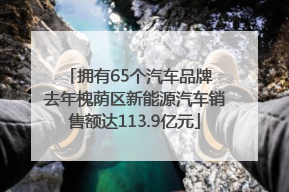 拥有65个汽车品牌 去年槐荫区新能源汽车销售额达113.9亿元