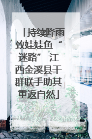 持续降雨致娃娃鱼“迷路” 江西金溪县干群联手助其重返自然