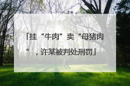 挂“牛肉”卖“母猪肉”，许某被判处刑罚