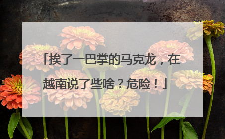 挨了一巴掌的马克龙，在越南说了些啥？危险！