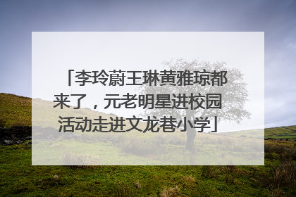 李玲蔚王琳黄雅琼都来了，元老明星进校园活动走进文龙巷小学
