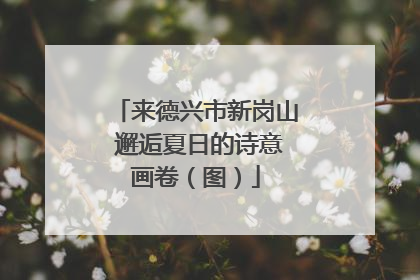 来德兴市新岗山 邂逅夏日的诗意画卷（图）