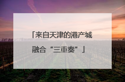 来自天津的港产城融合“三重奏”