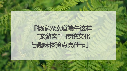 杨家界索道端午这样“宠游客” 传统文化与趣味体验点亮佳节