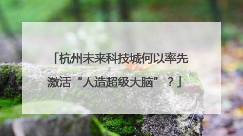 杭州未来科技城何以率先激活“人造超级大脑”？
