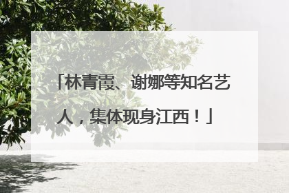 林青霞、谢娜等知名艺人，集体现身江西！