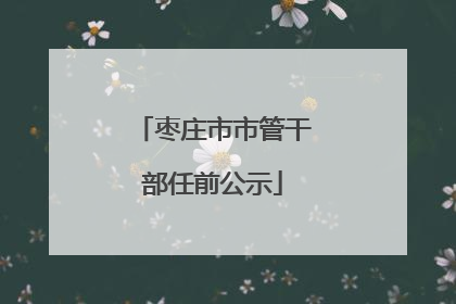 枣庄市市管干部任前公示