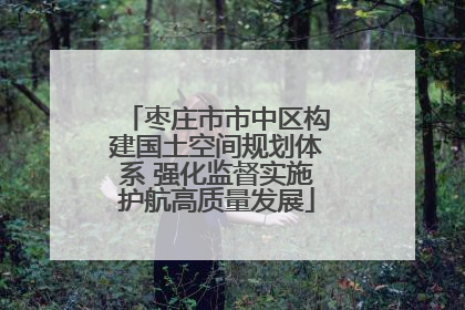枣庄市市中区构建国土空间规划体系 强化监督实施护航高质量发展
