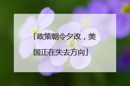 政策朝令夕改，美国正在失去方向
