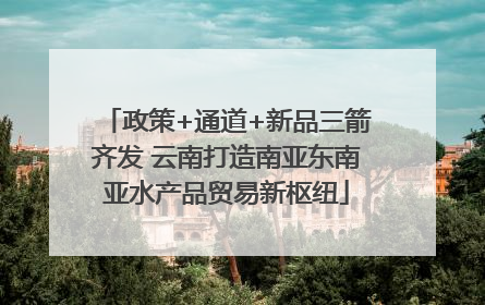 政策+通道+新品三箭齐发 云南打造南亚东南亚水产品贸易新枢纽