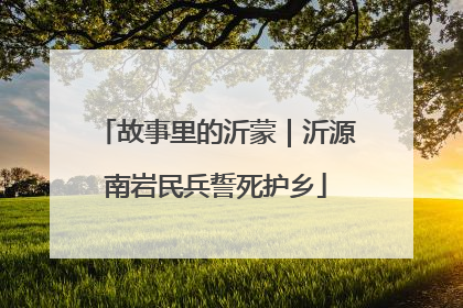 故事里的沂蒙｜沂源南岩民兵誓死护乡