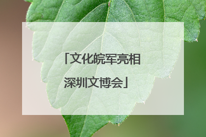 文化皖军亮相深圳文博会