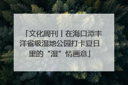 文化周刊丨在海口潭丰洋省级湿地公园打卡夏日里的“湿”情画意