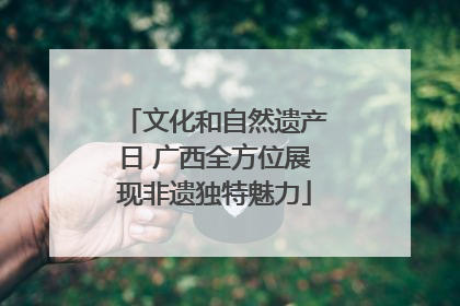 文化和自然遗产日 广西全方位展现非遗独特魅力