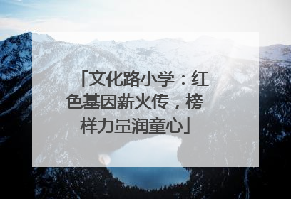 文化路小学：红色基因薪火传，榜样力量润童心