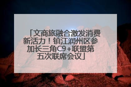 文商旅融合激发消费新活力！镇江润州区参加长三角C9+联盟第五次联席会议
