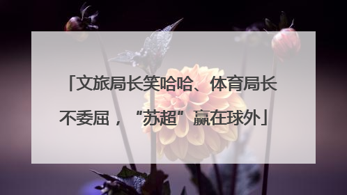 文旅局长笑哈哈、体育局长不委屈，“苏超”赢在球外