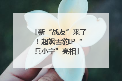 新“战友”来了！超飒雪豹IP“兵小宁”亮相